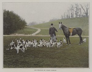 Os beagles do Conde Cowley (foto a cores) de French Photographer