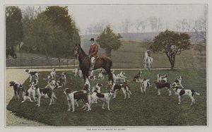 Tom Firr e os cães de caça de Quorn Hunt, Leicestershire (foto a cores) de French Photographer