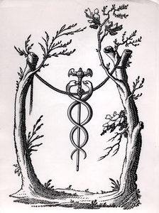 Um caduceu de French School