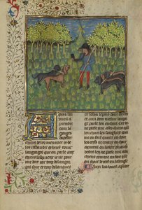 Um caçador treinando cães para responder ao chamado de um chifre, c.1430-40 (têmpera, tinta dourada e prateada e folha de ouro em pergaminho) de French School