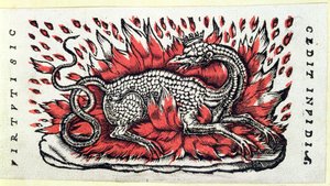 Uma Salamandra, 1ª metade do século XVI de French School