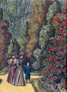 Jardim de aclimatação - la serre des camelias - Estufa de camélias num jardim botânico de French School