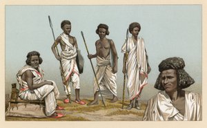 Fantasia de África