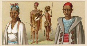 Fantasia de África de French School