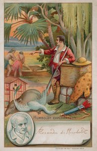 Alexander von Humboldt, geógrafo prussiano, naturalista e explorador (1769 -1859) de French School