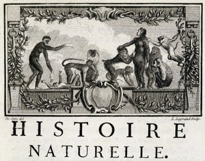 Alegoria da História Natural dos Macacos - in "Histoire naturelle, générale et particulière" de Buffon de French School