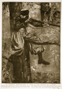 Um atirador argelino em ação no abrigo de uma floresta, 1914-19 de French School