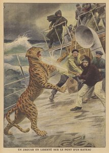 Uma onça-pintada fugitiva a bordo de um navio (cor litho) de French School