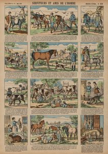 Animais benéficos para o homem (gravura colorida) de French School