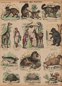 Animais do Jardin des Plantes, Paris, França de French School