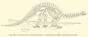 Animais do período Jurássico, o brontossauro (gravura) de French School