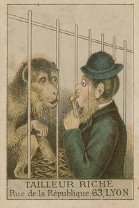 Macaco e homem de French School