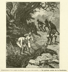 Aventuras de uma criança parisiense na terra dos leões (gravura) de French School