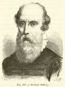 Bernard Palissy (gravura) de French School