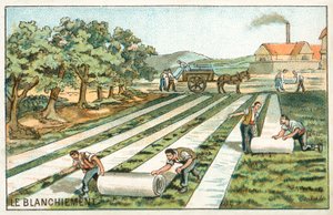 Branqueamento (chromolitho) de French School