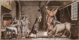 Boucher - Butchery - Butchery - "The Great Encyclopedie, ou Dictionnaire Raisonne des Sciences, des Arts et des Metiers" (Enciclopédia ou Dicionário das Ciências, Artes e Profissões) por Denis Diderot (1713-1784) e Jean d