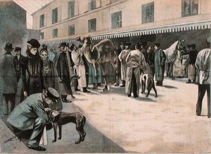 Cuidado de um camelo na Ecole Nationale Veterinaire d