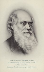 Charles Darwin (1809-1882), naturalista inglês (litografia) de French School