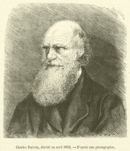 Charles Darwin, falecido em abril de 1882 (gravura) de French School