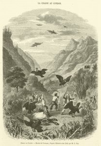 Caça ao Condor (gravura) de French School