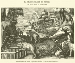 Caça ao tigre com um espelho (gravura) de French School