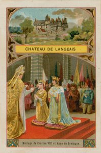 Chateau de Langeais de French School