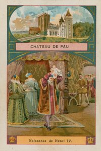 Castelo de Pau de French School
