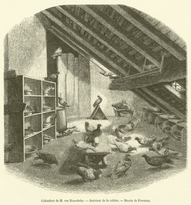 Colombier de M van Roosebeke, Interieur de la voliere (gravura) de French School