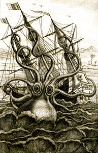 Polvo colossal, c.1802 (gravura) de French School