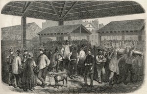 Carne de talho de Cree no mercado na rue des Prouvaires no I arrondissement de Paris - Gravação em "Tableau-de-Paris" de Edmond Texier 1852 de French School