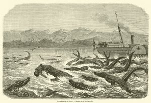 Crocodilos sobre o Chire (gravura) de French School
