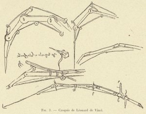 Esboço de Leonardo da Vinci de French School