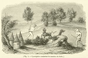 Cynocephales lutando contra monstros da floresta (gravura) de French School