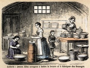 Descrição dos vários empregos e produtos ovinos: jovens produtores de leite fazendo manteiga e queijos em um laticínio. Placa "Les moutons" em "les Recreations instructives" Pintura sinóptica de Jules DELBRUCK, gravada a partir de 1860. Colecção privada. de French School