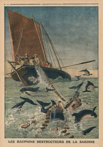 Golfinhos destruindo sardinhas, ilustração da capa do &39;Le Petit Journal&39;, suplemento ilustre, 23 de março de 1913