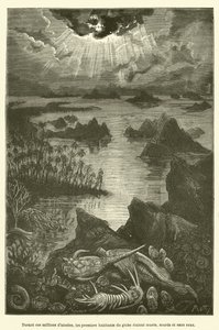 Durante esses milhões de anos, os primeiros habitantes do globo foram mudos, surdos e sem sexo (gravura). de French School