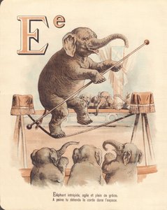 E: Elefante, elefante intrepidez equilibrista, ágil e cheio de graça, mal relaxa a corda no espaço de French School