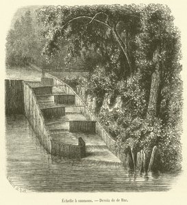 Escada de salmão (gravura) de French School