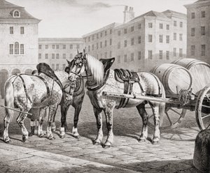 Cavalos de fazenda ingleses, 1823 de French School