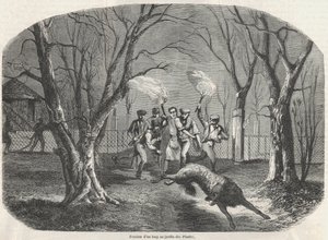Evasão de um lobo no Jardin des Plantes em Paris - Gravação em "Tableau-de-Paris" de Edmond Texier 1852 de French School