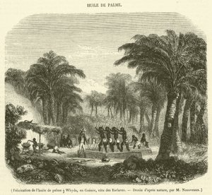 Produção de óleo de palma em Whyda, Guiné, Costa dos Escravos (gravura) de French School