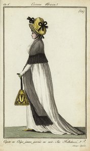 A mulher da moda nos Campos Elísios de French School