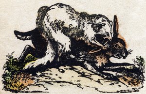 Furão. Gravura no "Alfabeto dos animais sauvages". 9ª Série. Imagem de Epinal, Pellerin, impressora-editora, cerca de 1870. Gravura em madeira, stencilled. 16 páginas. Dimensões: 20 x 15 cm. Coleção Particular de French School