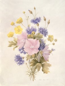 Flores do campo, 1842 (wc no papel) de French School