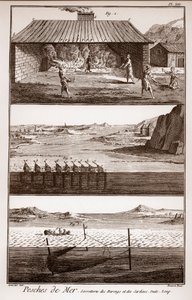 Pesca, arenque e sardinha - Peches de Mer - Sorretterie des herring et des sardines - "La Grande Encyclopedie, ou Dictionnaire Raisonne des Sciences, des Arts et des Metiers" (Enciclopédia ou Dicionário das Ciências, Artes e Profissões) por Deni de French School