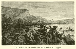 Floridianos lutando enquanto nadam de French School