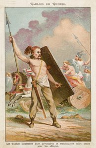Guerreiros gauleses de French School