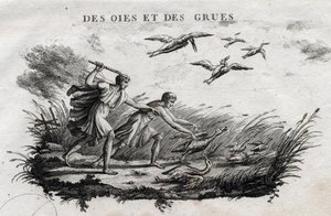 Gansos e grous - Fábula de Esope (Escritor grego Esop ou Esop, século VI a.C.) Escrito por Guillaume Montfort e gravado por Beauble em 1801 de French School