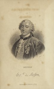 Georges-Louis Leclerc, conde de Buffon de French School