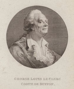 Georges-Louis Leclerc, Comte de Buffon, naturalista francês (gravura) de French School